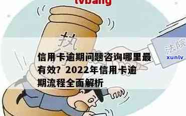 2022年信用卡逾期全面指南：如何处理、影响与解决办法一应俱全