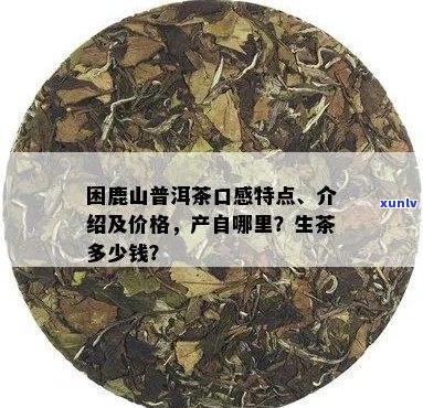 困鹿山普洱茶生茶价格及市场行情分析：一斤多少钱？