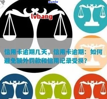 信用卡逾期费用全解析：如何避免额外费用、利息和信用损失？