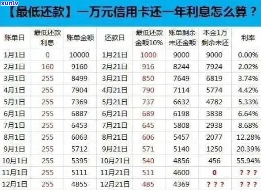 欠信用卡逾期后怎么还本金和利息