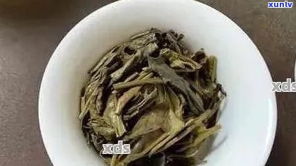 普洱茶与大白菜：各年份的品质与特点分析，帮助您挑选最适合的茶与菜