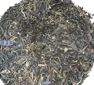 普洱茶大白菜价格查询：了解2000元大白菜普洱茶的最新价格和含义