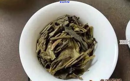 云南普洱大白菜茶：品质、口感与价格详解