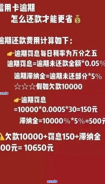 卡卡贷逾期利息过高如何应对？全面解析及实用建议