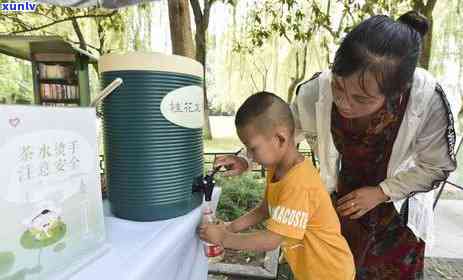 海南三亚优质茶叶店推荐：品味茶香之旅，探寻茶品选择