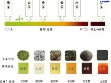 普洱茶茶饼的颜色变化：原因、分类与品质判断