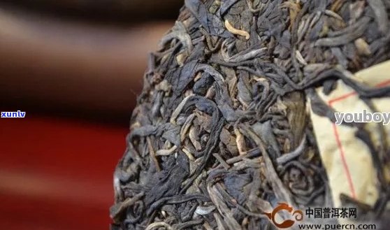 老班章普洱茶百科：特点功效、品种与品质，价格查询表。