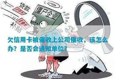 信用卡欠款：公司是否会联系单位？