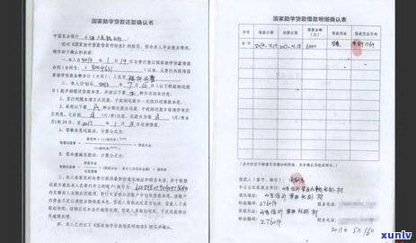 信用卡逾期还款消除记录完整指南