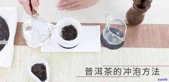 普洱茶泡法：多久泡一次？如何选择泡茶器具？