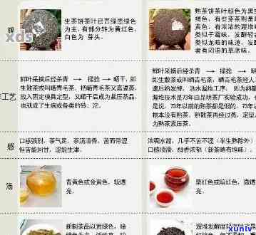 普洱茶中发现微小生物，品质受影响吗？