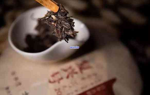 新 70年代原生态普洱茶： 一被时光酝酿的自然之韵