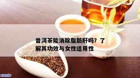 喝普洱茶治脂肪肝吗