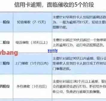 中信信用卡5万逾期费用攻略：如何避免额外支出