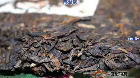 普洱茶中发现虫子，是否可以继续饮用？如何处理？