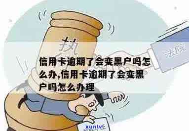 浦发信用卡逾期黑户能办吗？入黑名单后的处理 *** 