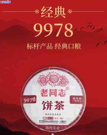 新 9928普洱茶——老同志，优质茶叶，独特风味，市场价格分析