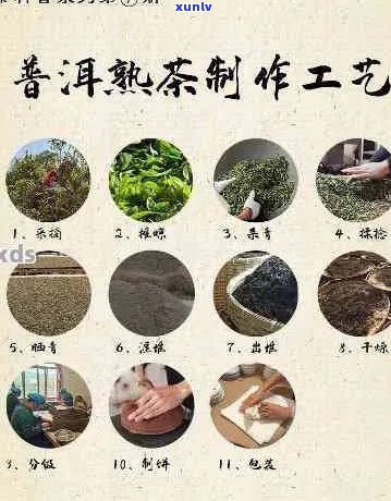 普洱茶的150年：历、 *** 工艺、品鉴 *** 及健益处全解析