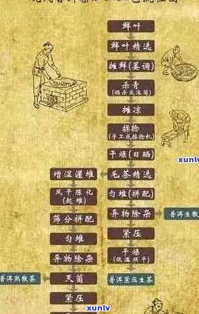 普洱茶的150年：历、 *** 工艺、品鉴 *** 及健益处全解析