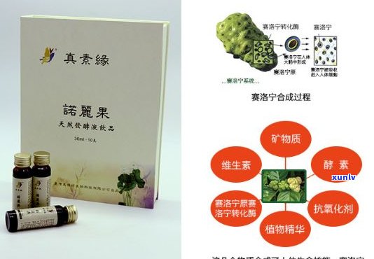 新 健选择 - 普洱茶与诺丽果酵素的完美融合，打造果蔬饮品