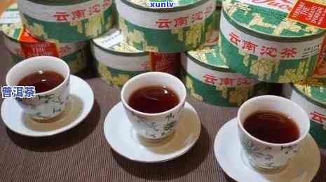 三亚普洱茶选购全攻略：哪家茶叶店品质？价格合理？口感一流？