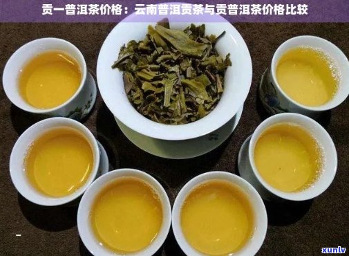 贡一普洱茶价格：云南普洱贡茶与贡普洱的价格比较