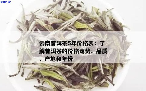 贡一普洱茶价格：云南普洱贡茶与贡普洱的价格比较