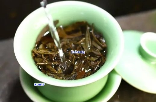 品普洱茶的更高境界：深入理解与欣普洱茶的各个环节