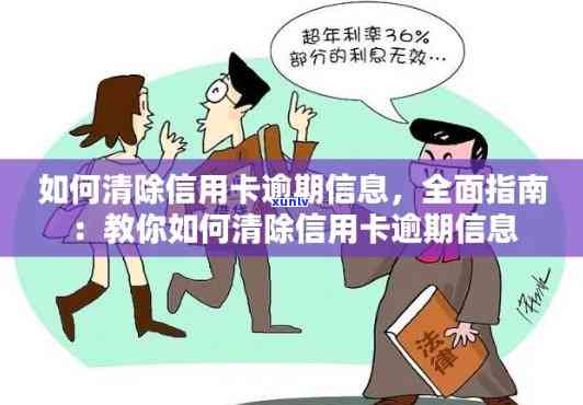 逾期信用卡记录清除：机制解析与操作指南