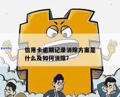 信用卡逾期记录能否消除