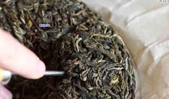 普洱茶有股霉味正常吗？能喝吗？