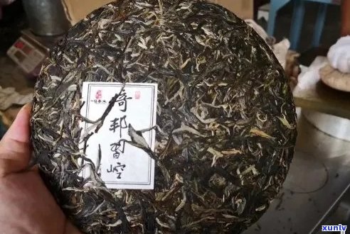 廷坊普洱茶专卖店：优质普洱茶品种、价格、购买渠道、品鉴 *** 一应俱全