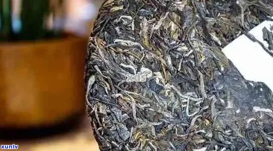 普洱茶新茶含水量高的影响：品质、口感与保存 *** 解析