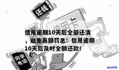 信用逾期10天后全部还清：后果与影响全解析