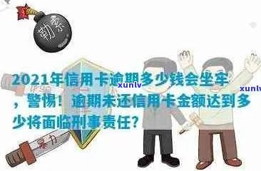 2021年信用卡逾期还款的刑事风险：你需要了解的金额标准和实际案例