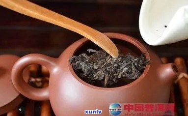 普洱茶沱一次泡多少