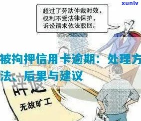 信用卡逾期被拘留：可能的后果、应对策略与法律援助