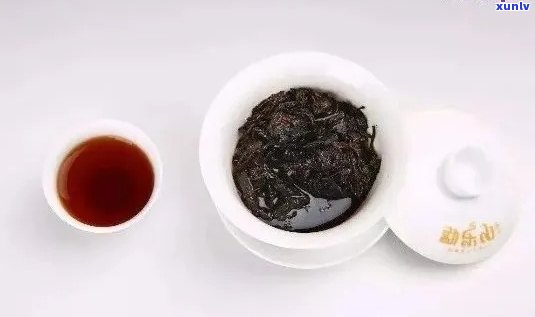 普洱茶为什么用小杯泡：探讨小杯泡普洱的原因和效果