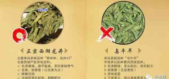 全面解答：羽茶叶的真假鉴别 *** 与推荐，帮助您轻松购买优质茶叶