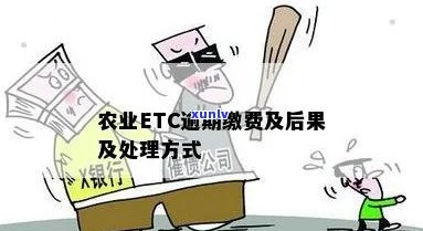 农行ETC信用卡逾期还款问题解决 *** 与相关政策解读