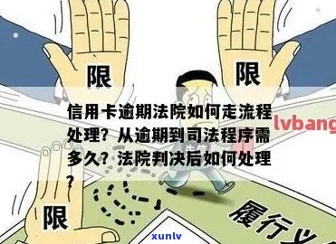 信用卡逾期司法网备案流程：如何处理与司法局相关的问题？