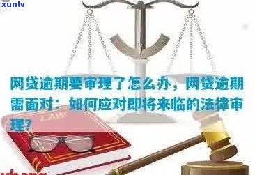 信用卡逾期处理策略：如何进行司法网备案查询