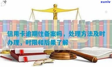 信用卡逾期处理策略：如何进行司法网备案查询