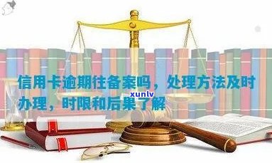 信用卡逾期后的法律救赎：司法备案的实际效用与操作指南