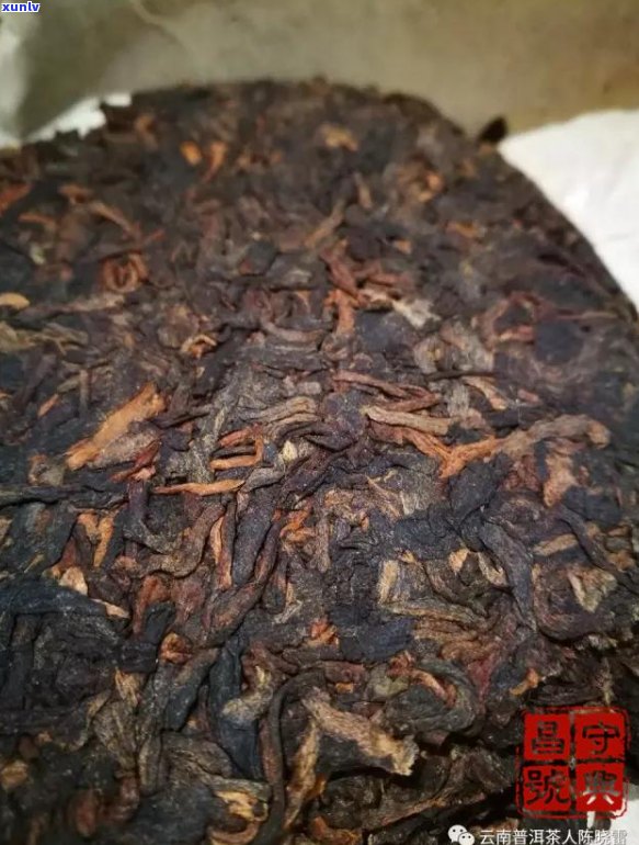 普洱茶长了毛一样的虫子能喝吗？是什么？