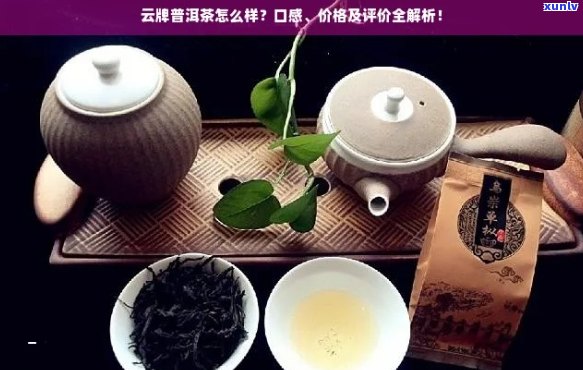 滇云号普洱茶全方位价格解析：从入门级到高端品种，一网打尽！