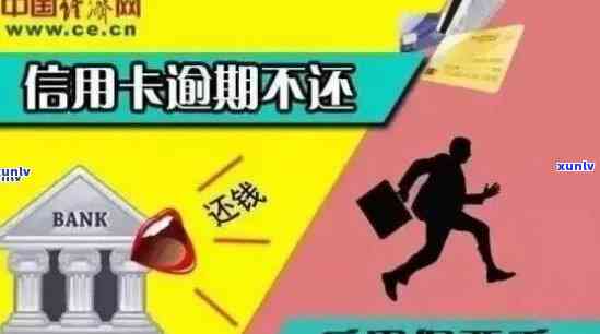 信用卡逾期后果详解：如何规划还款、降低利息及避免进一步信用损失