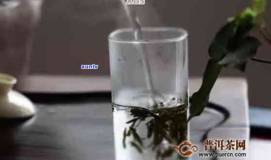 泡普洱茶的水度多少喝：最适宜的冲泡度及建议