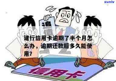 建行信用卡逾期还款问题：几百块逾期两个月如何解决？