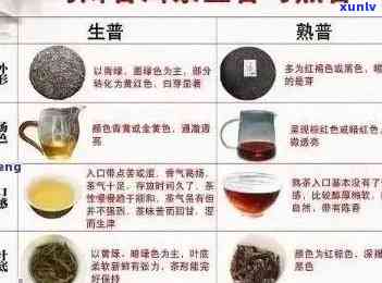 普洱茶品鉴与搭配指南：寻找喝茶伙伴